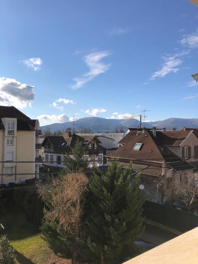 Au Pied Des Vosges Apartment Obernai Exterior photo